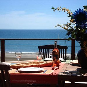 Le Grand Large Bord De Mer Hotel & Appartements